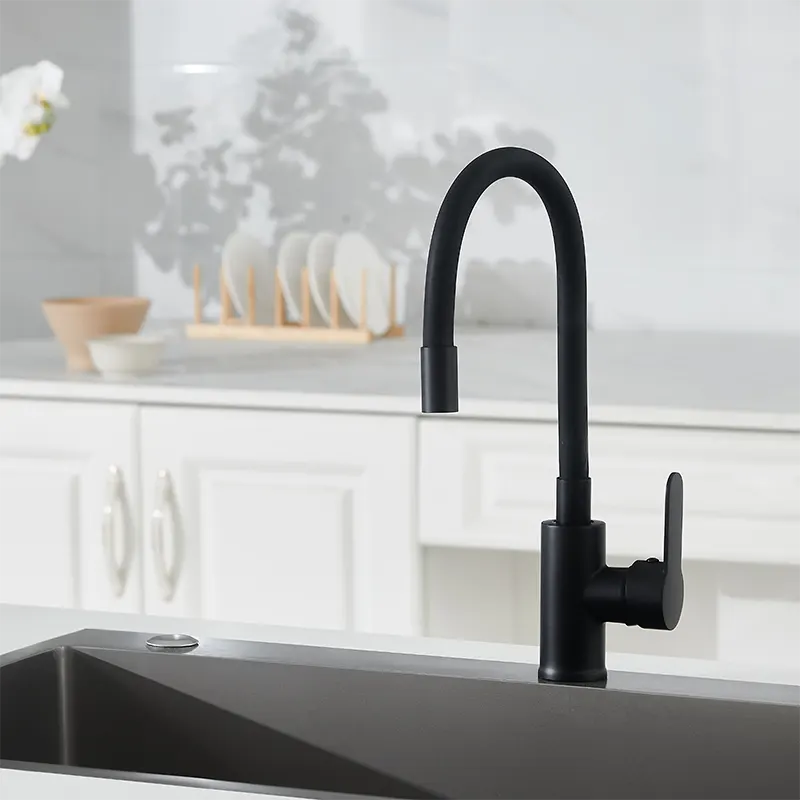 Multi Directional Black Kitchen kran